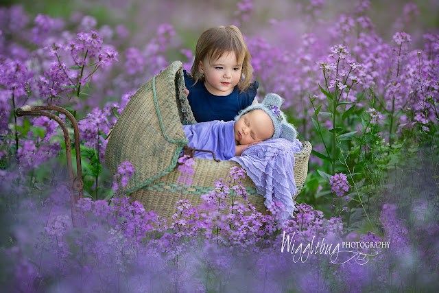newborn baby with sibling in wildflowers DeKalb, IL photographer