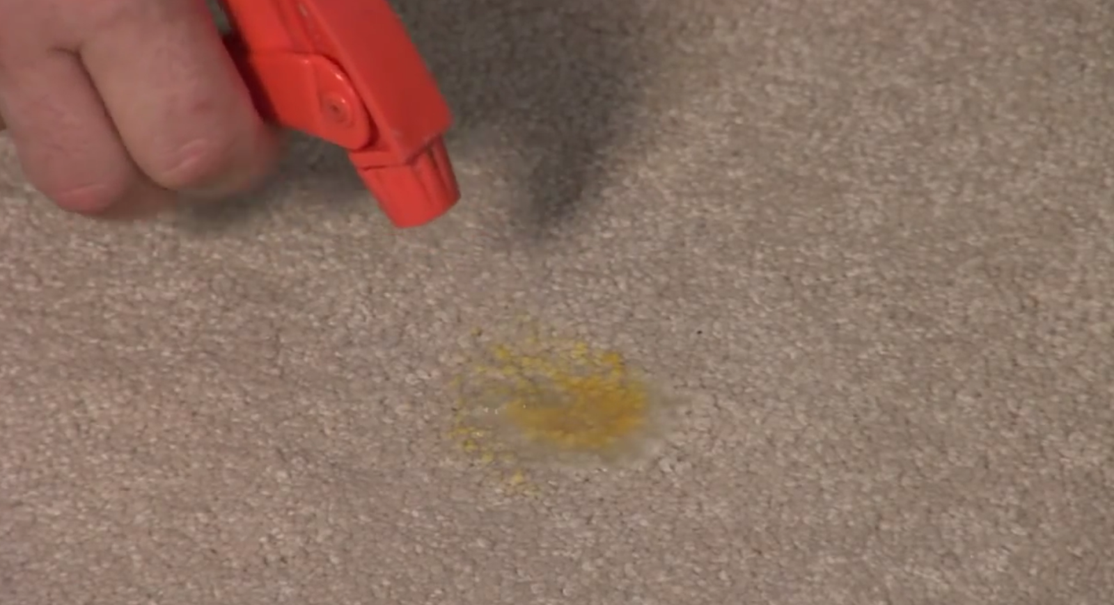 Portland Carpet Cleaning LLC Here Is Why You Need A Portland Carpet