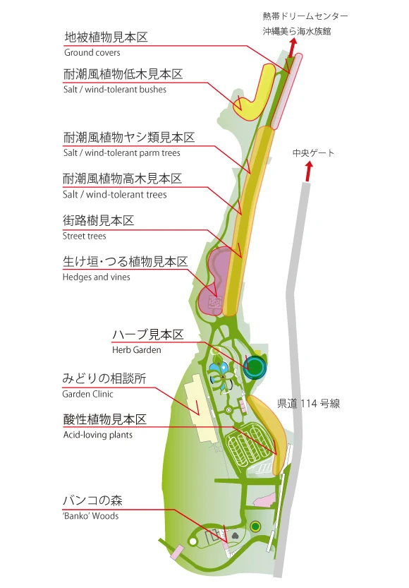 沖繩-海洋博公園-熱帶亞熱帶都市綠化植物園-海洋博公園景點-自由行-旅遊-旅行-okinawa-ocean-expo-park-Churaumi