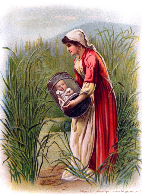 Hiding Moses Among Bulrushes | Christian Clip Art Review