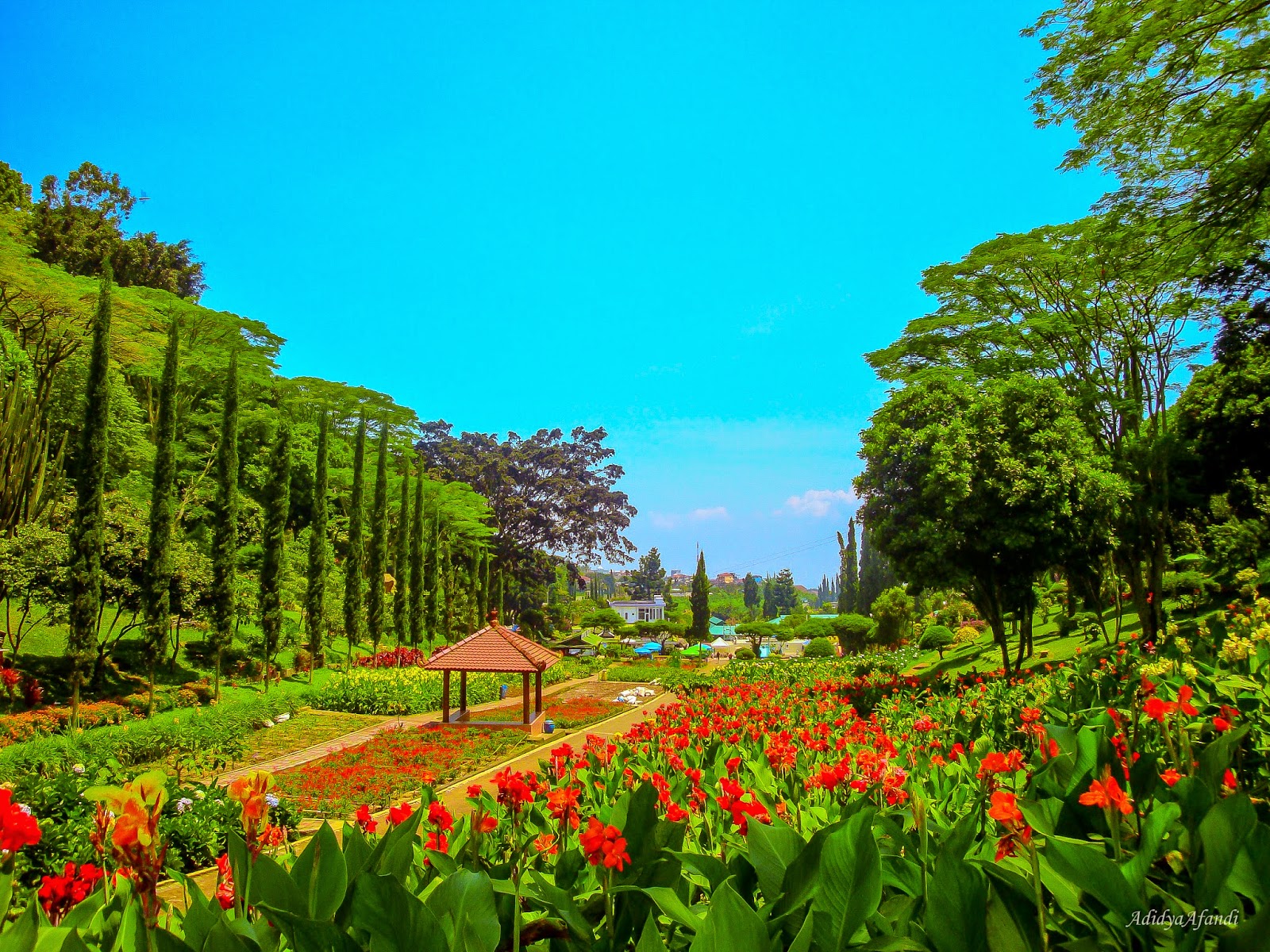 Wisata Alam Taman Bunga Selecta Batu Malang Nusantara