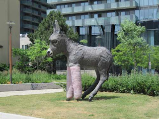 Primrose The Donkey Clover Hill Park Toronto