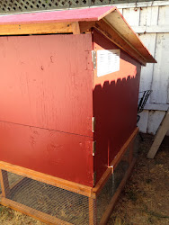 chicken coop run pink foodie