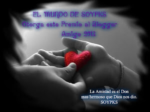 Premio blogger amigo 2013