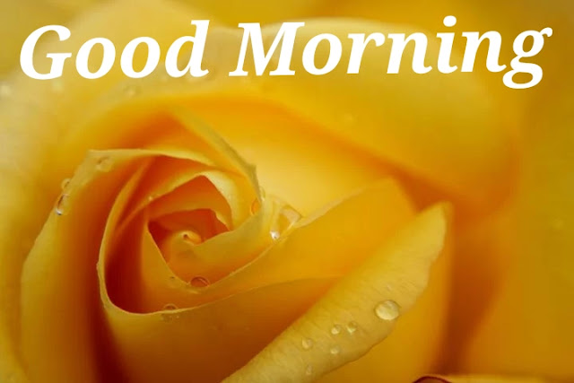 Good Morning. Good Morning.