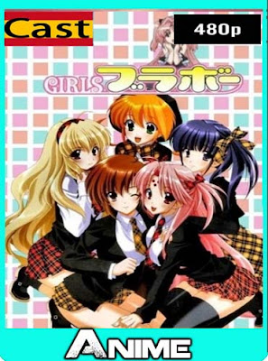 Girls Bravo [11/11] [Sin censura] HD [480P] castellano [GoogleDrive-Mega] dizonHD 