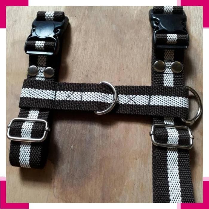 Cara Memasang Tali Anjing Harness Yang Benar Cara Memasang Tali Anjing Harness Yang Benar