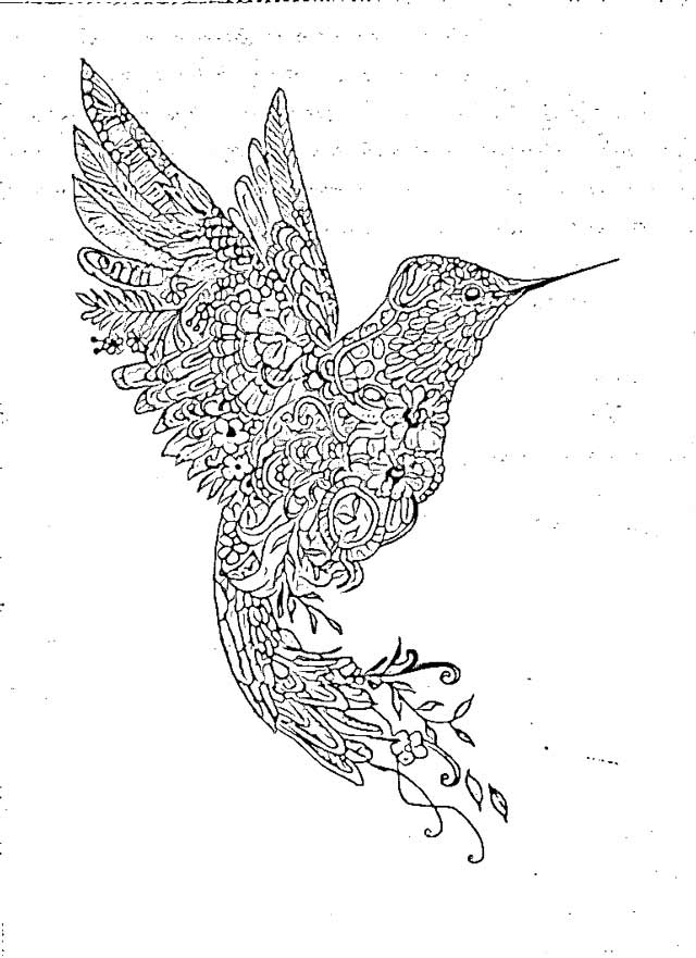 The Holiday Site: Bird Coloring Pages Free and Downloadable