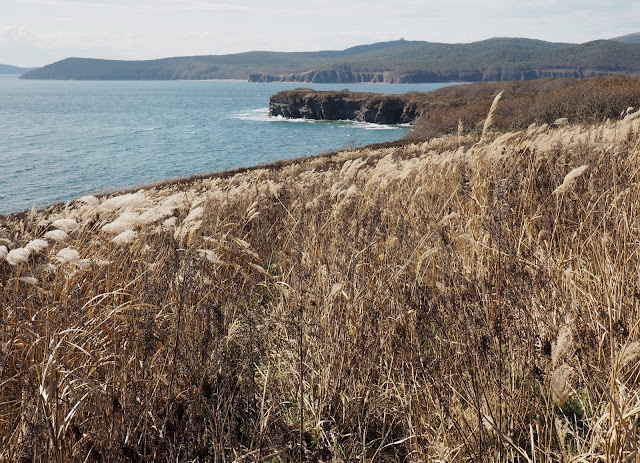 Владивосток, остров Русский, мыс Тобизина