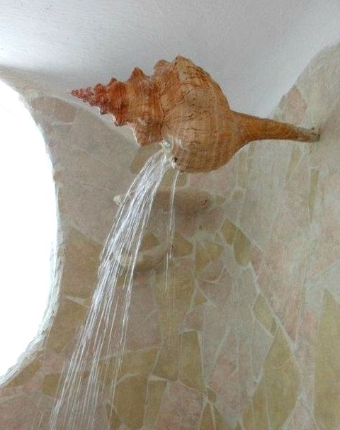 Shell Shower Head