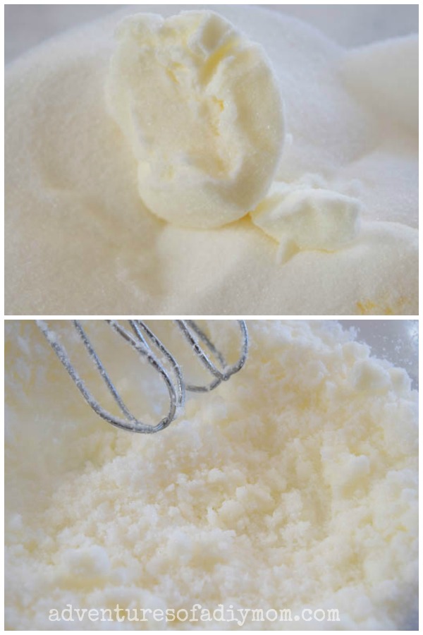 Soft Pumpkin Cookies with Chocolate Chips Adventures of a DIY Mom