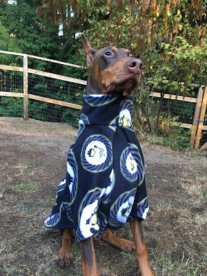 Chase in his Made by Meadowcat Minion jammies