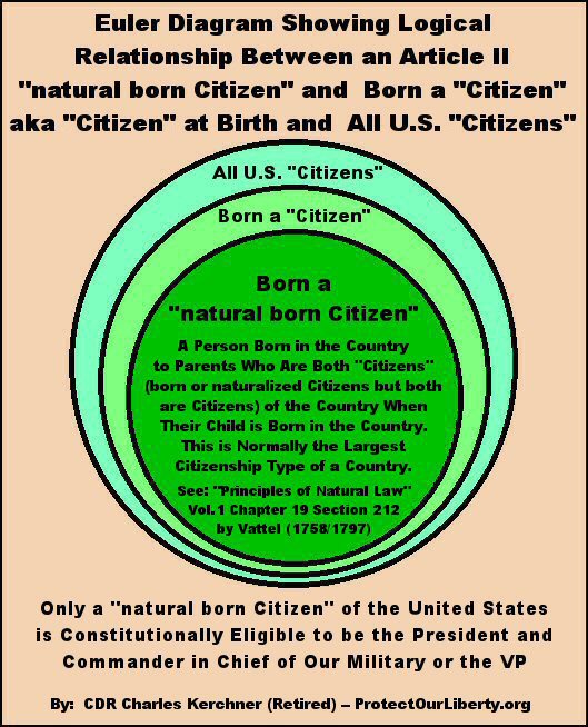 euler-logic-diagram-citizenship-supersets-and-subsets%2Bbirther%2Breport.jpg