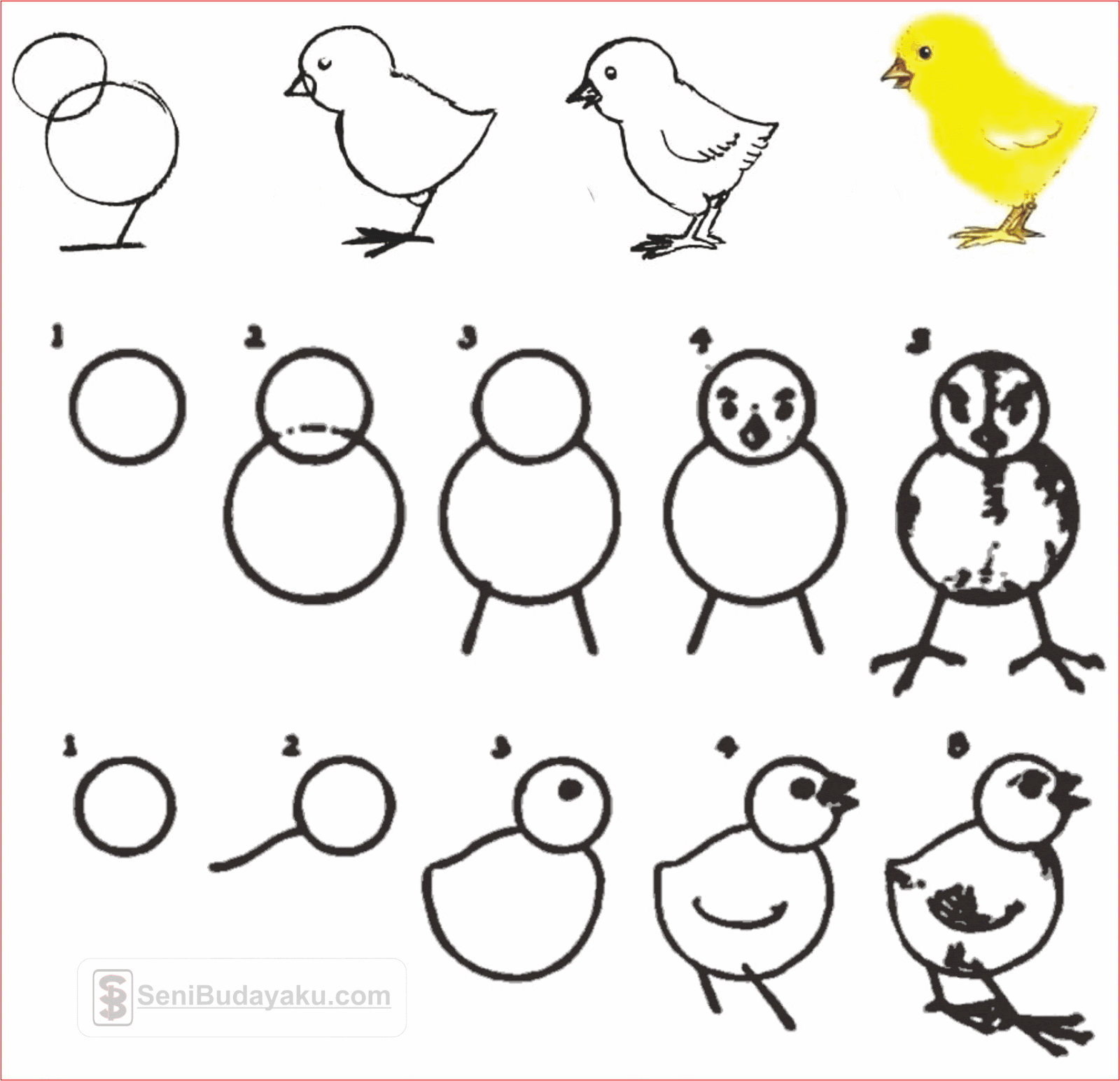 10 Cara Menggambar Ayam Dengan Mudah - Seni Budayaku
