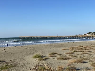 beach and pier in Cayucos, California