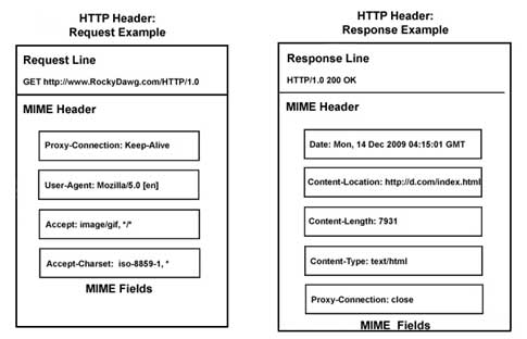 HTTP Protocol