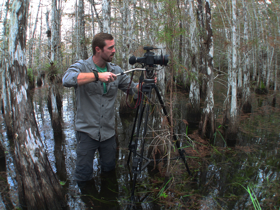 Wildlife Documentaries