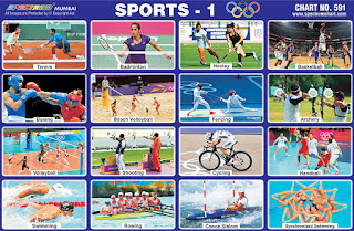 Sports Chart