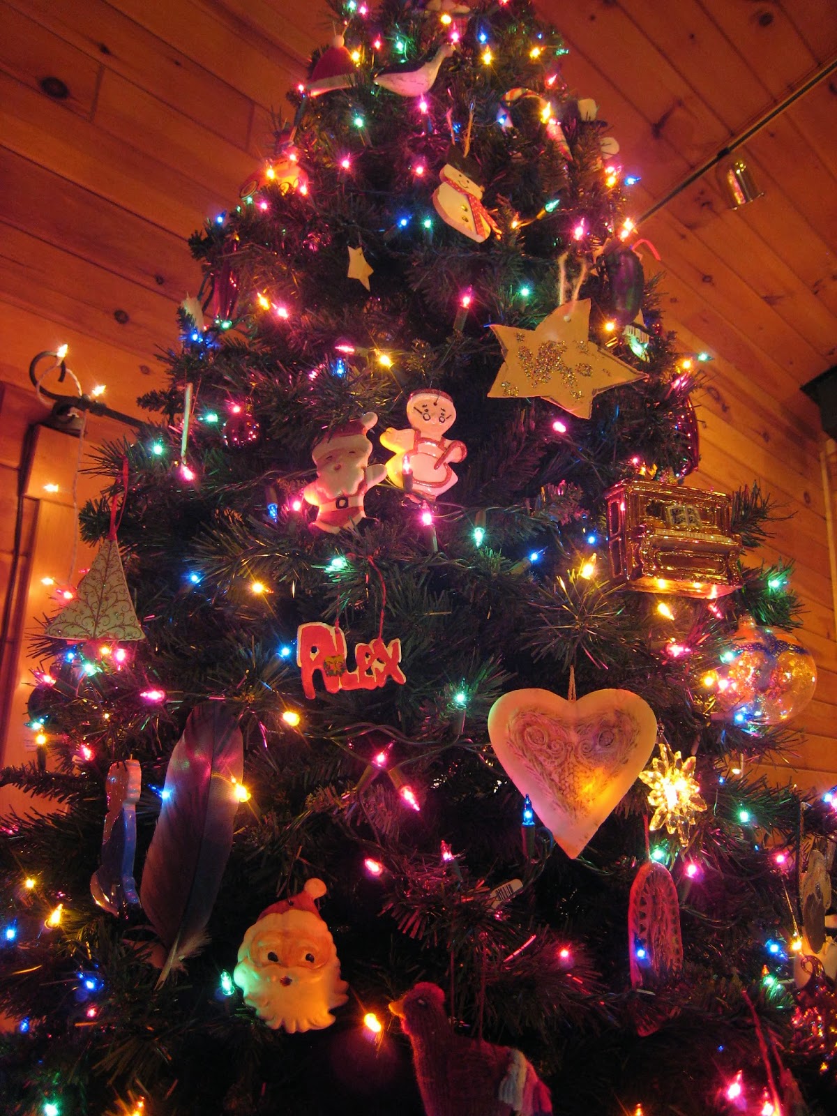 MadCityMike's Blog: &quot;The Fully Decorated Christmas Tree&hellip;&hellip;&quot;