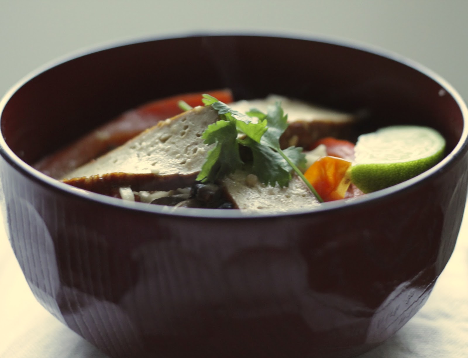 fresh and kind thai tofu noodle soup