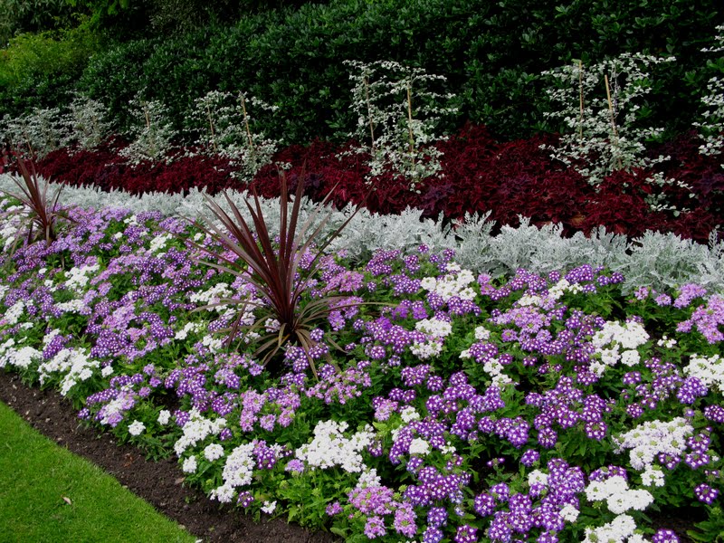 En tu jardín: julio 2011