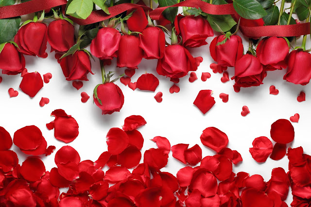 Flower-Facebook-Cover-Image-HD