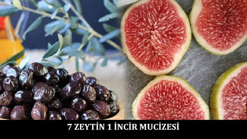7 zeytin 1 incir mucizesi