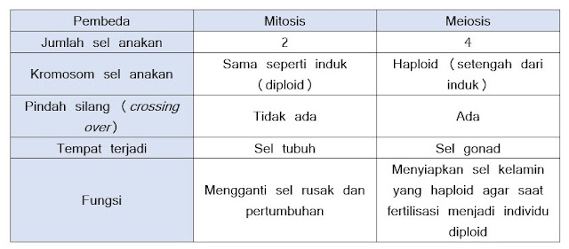 Perbedaan Mitosis dan Meiosis