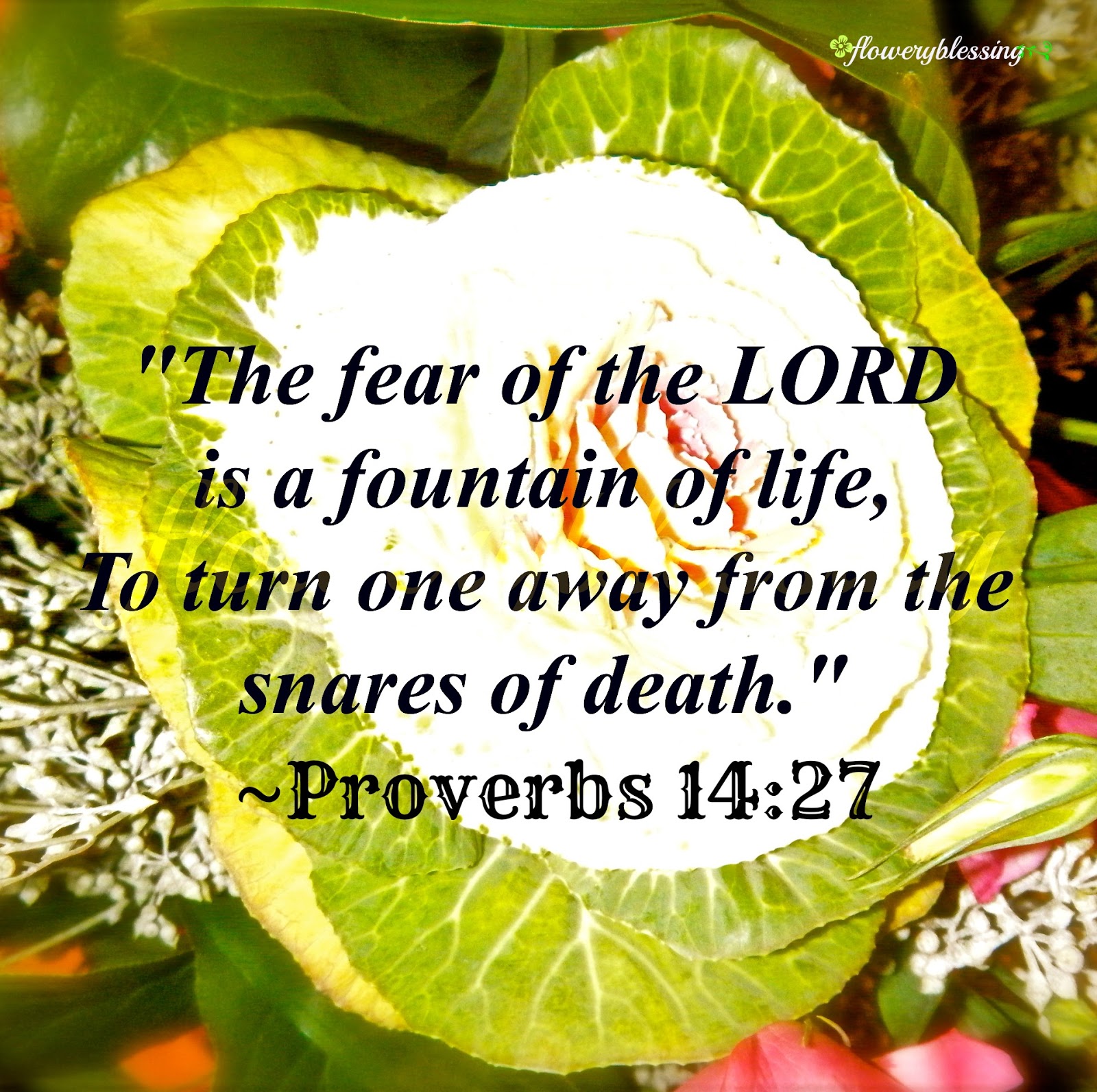 the fear of the lord is a fountain of life