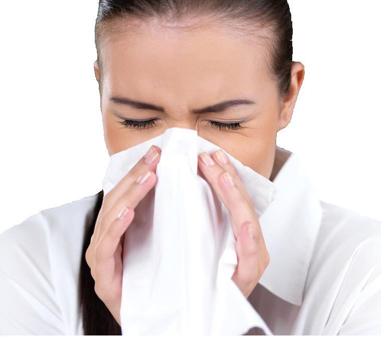 Sunshine Acupuncture & Chinese Medicine Kitchener Waterloo Clinic Let