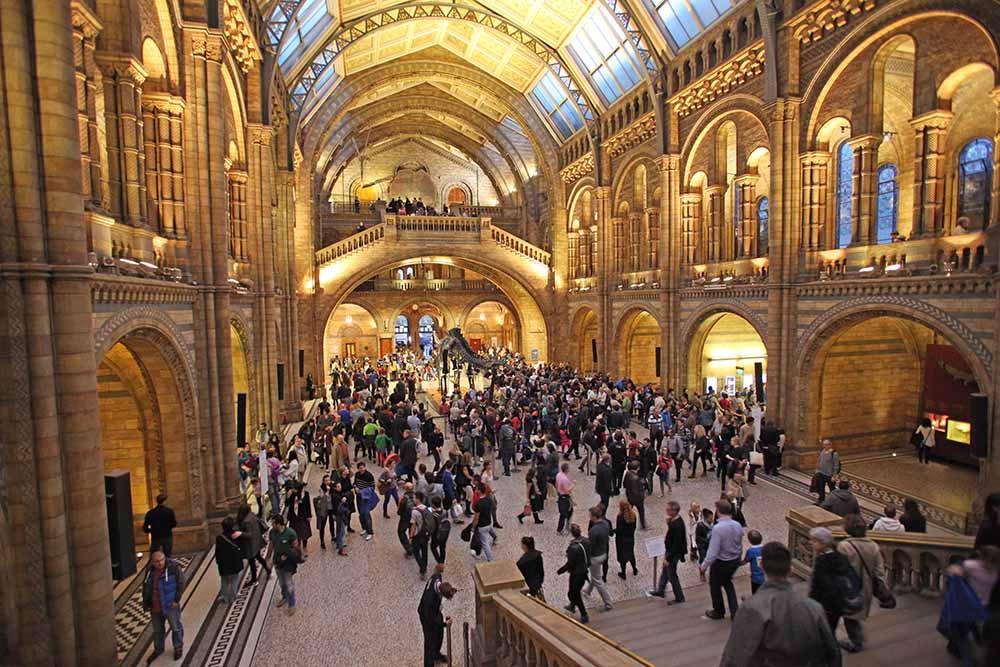 Natural History Museum London