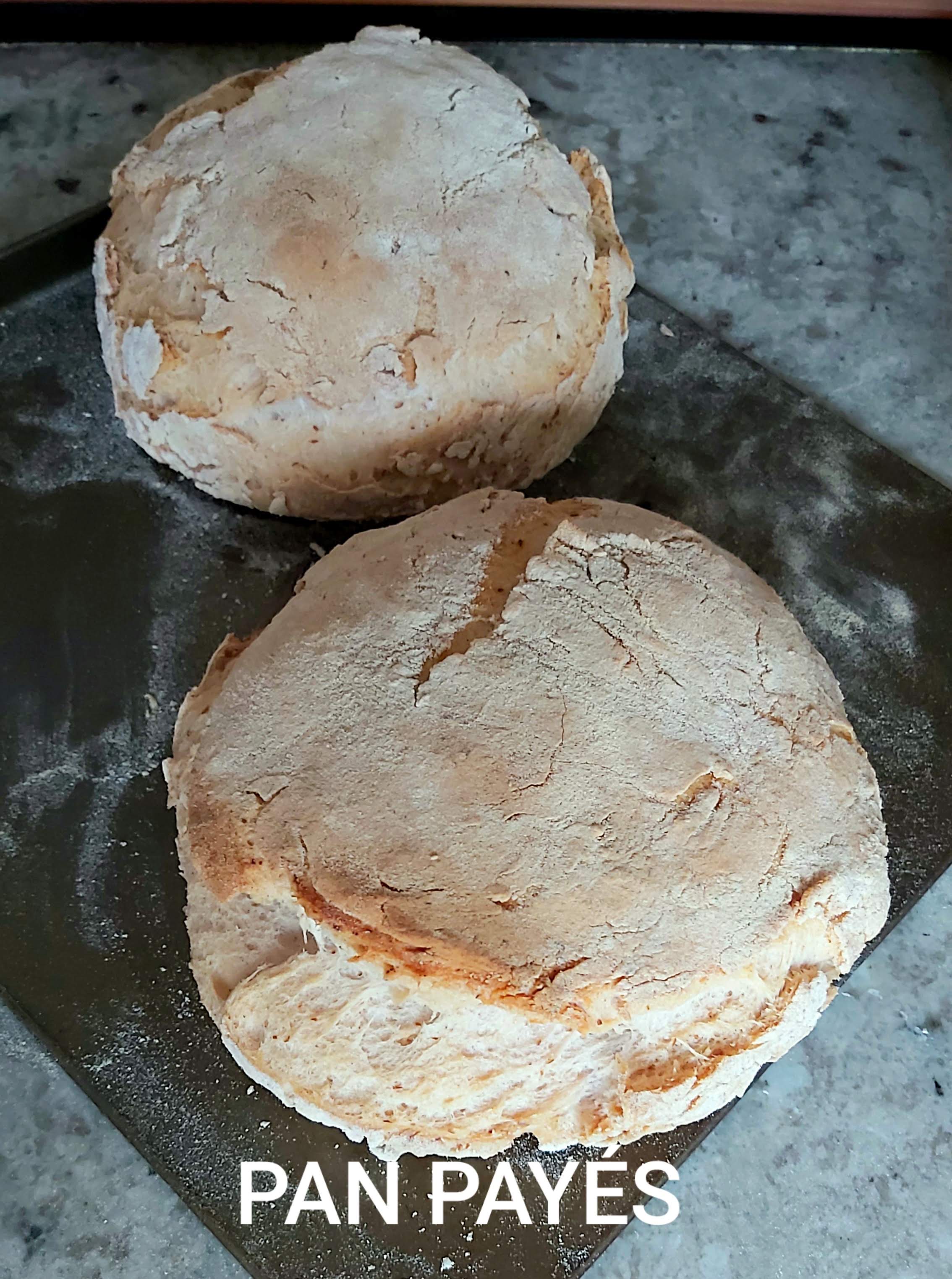 PAN PAYÉS SIN GLUTEN PAN PAYÉS SIN GLUTEN