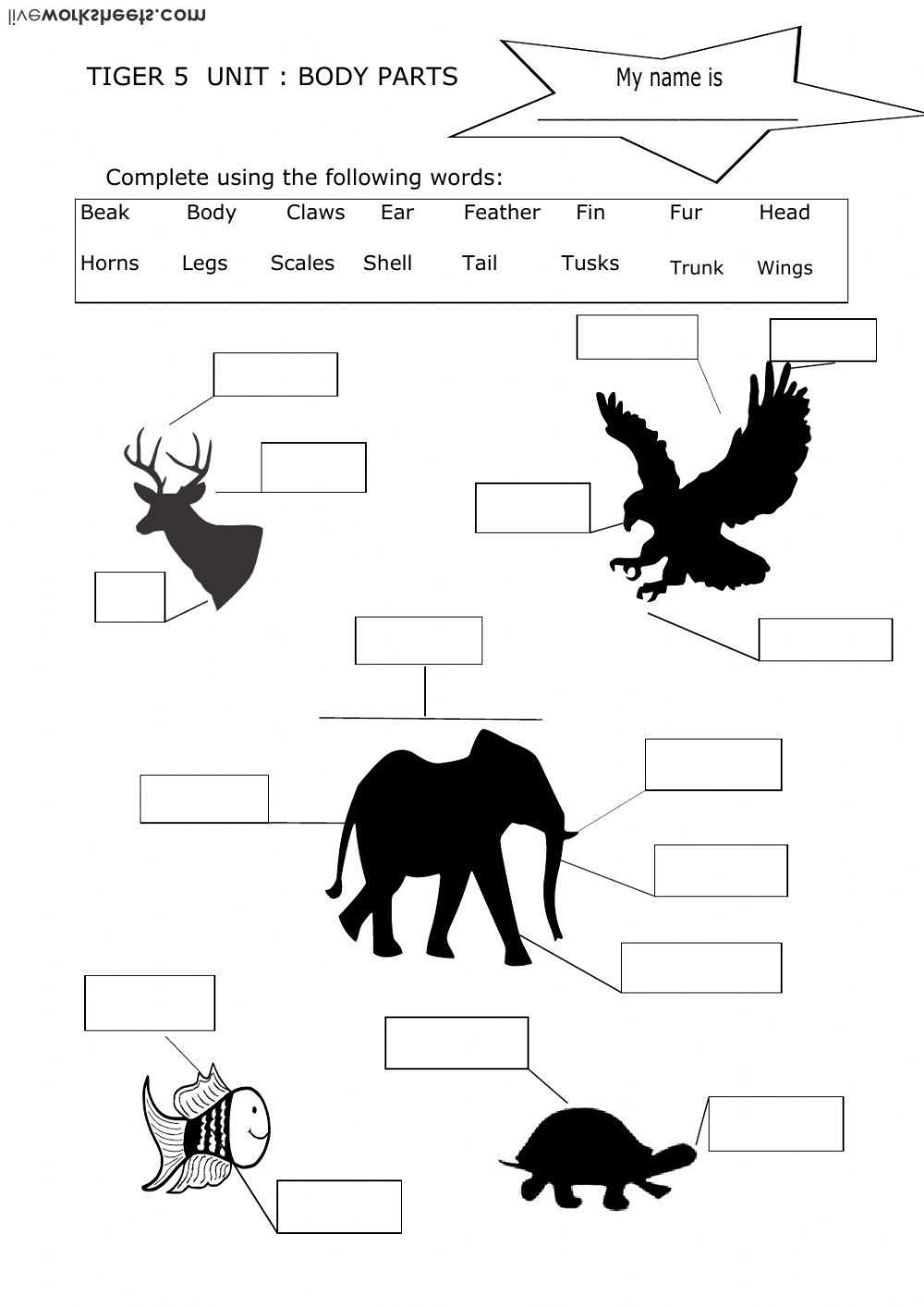 Animals body worksheets.