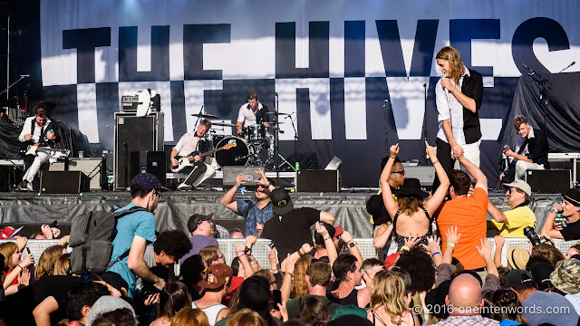 The Hives at The Toronto Urban Roots Festival TURF Fort York Garrison Common September 16, 2016 Photo by John at One In Ten Words oneintenwords.com toronto indie alternative live music blog concert photography pictures