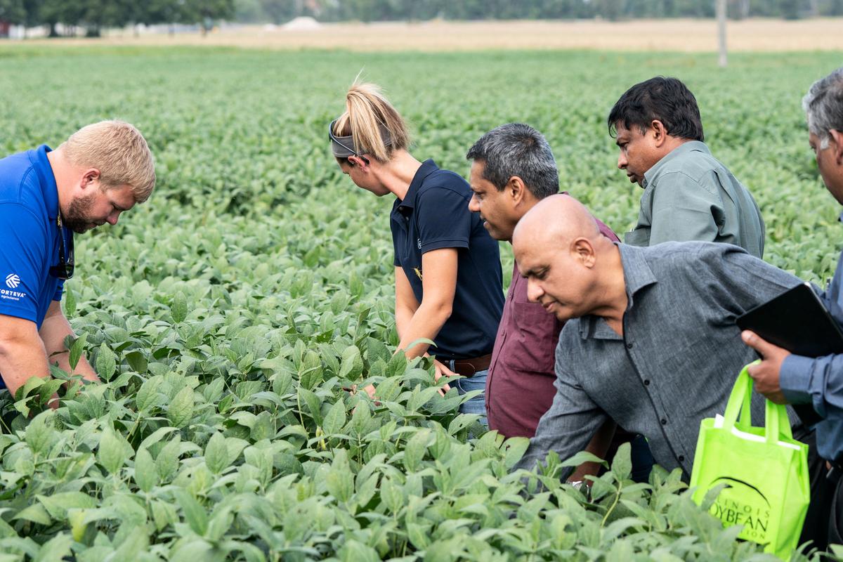 Soybean Farm Workers Needed In Canada (21 an hour) APPLY NOW HOLARNS