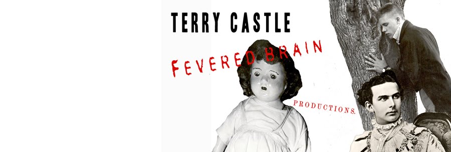 TERRY   CASTLE  /  FEVERED   BRAIN   PRODUCTIONS