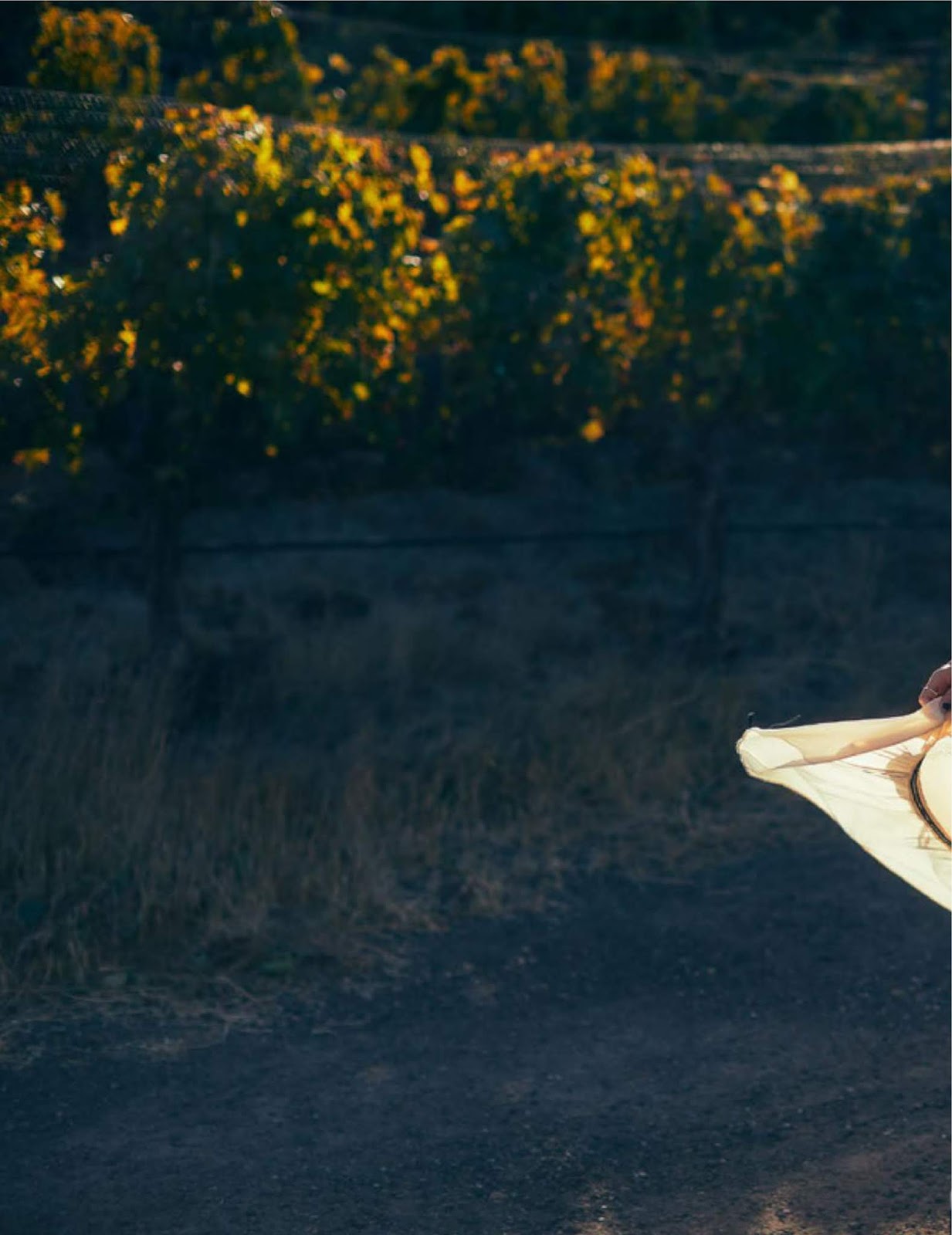 Ashley Tisdale - Modeliste - December 2018 – Celeb Central