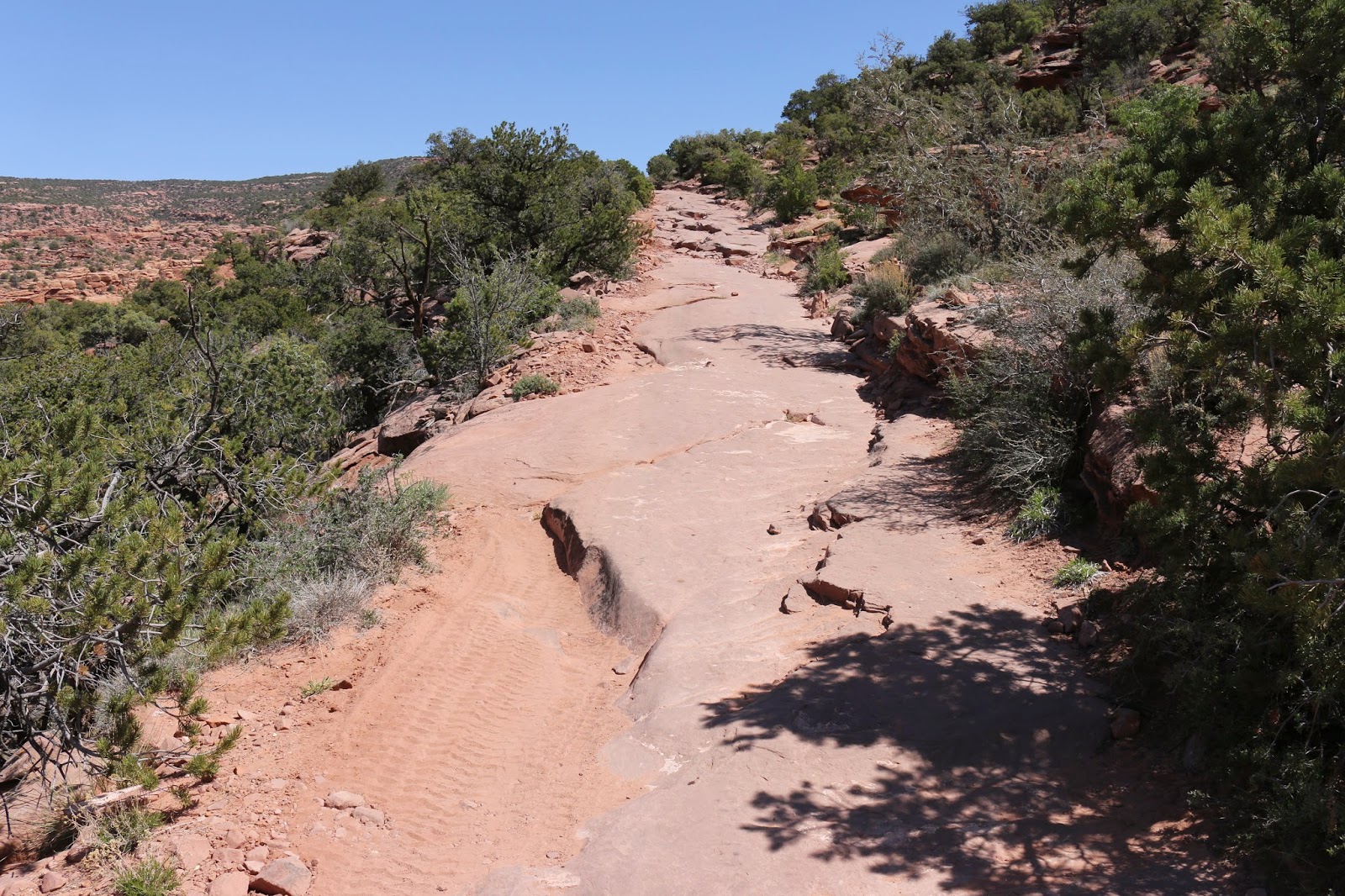 Porcupine Rim Overlook