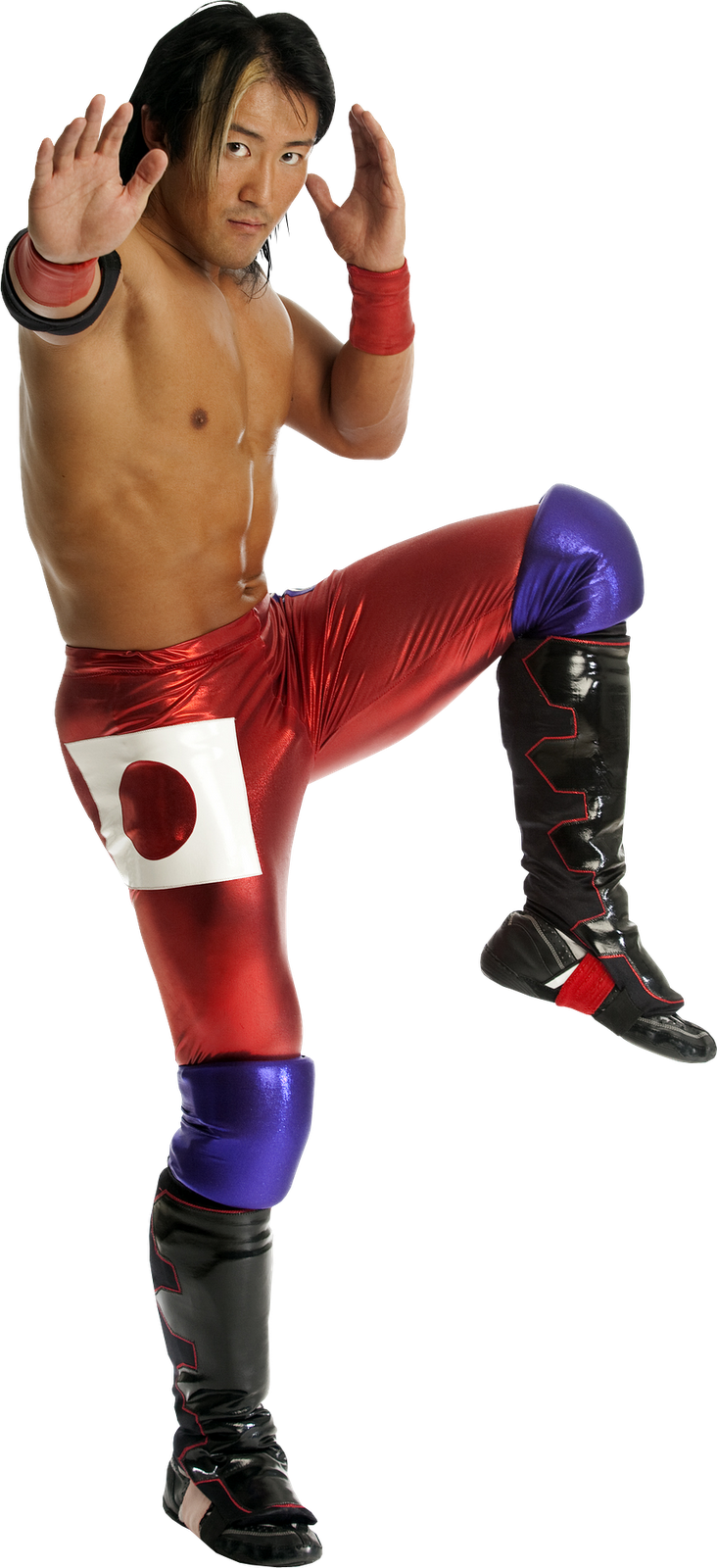 SohoDesign: Yoshi Tatsu [PNG]