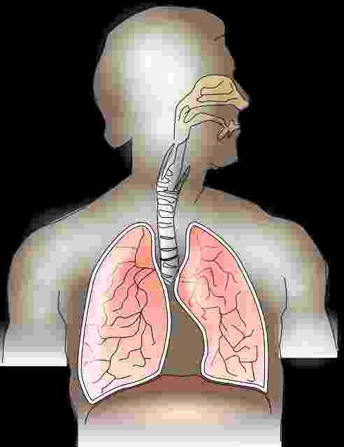 Home remedies to increase oxygen level in the body and To Make Lungs Healthy And Strong.