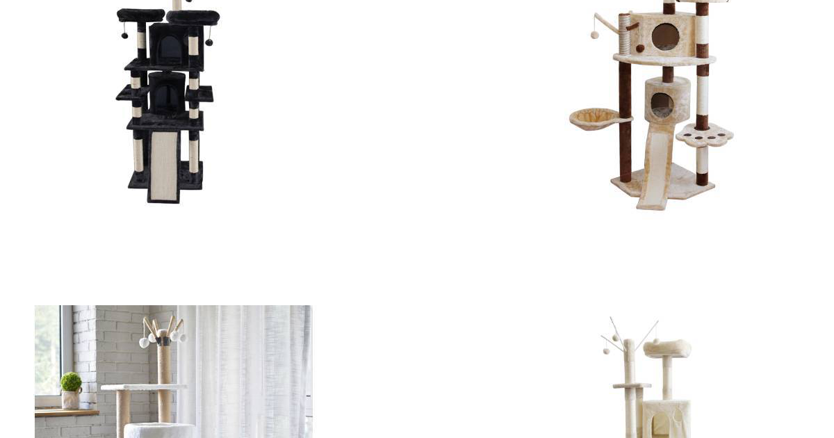 Best Indoor Cat Toys