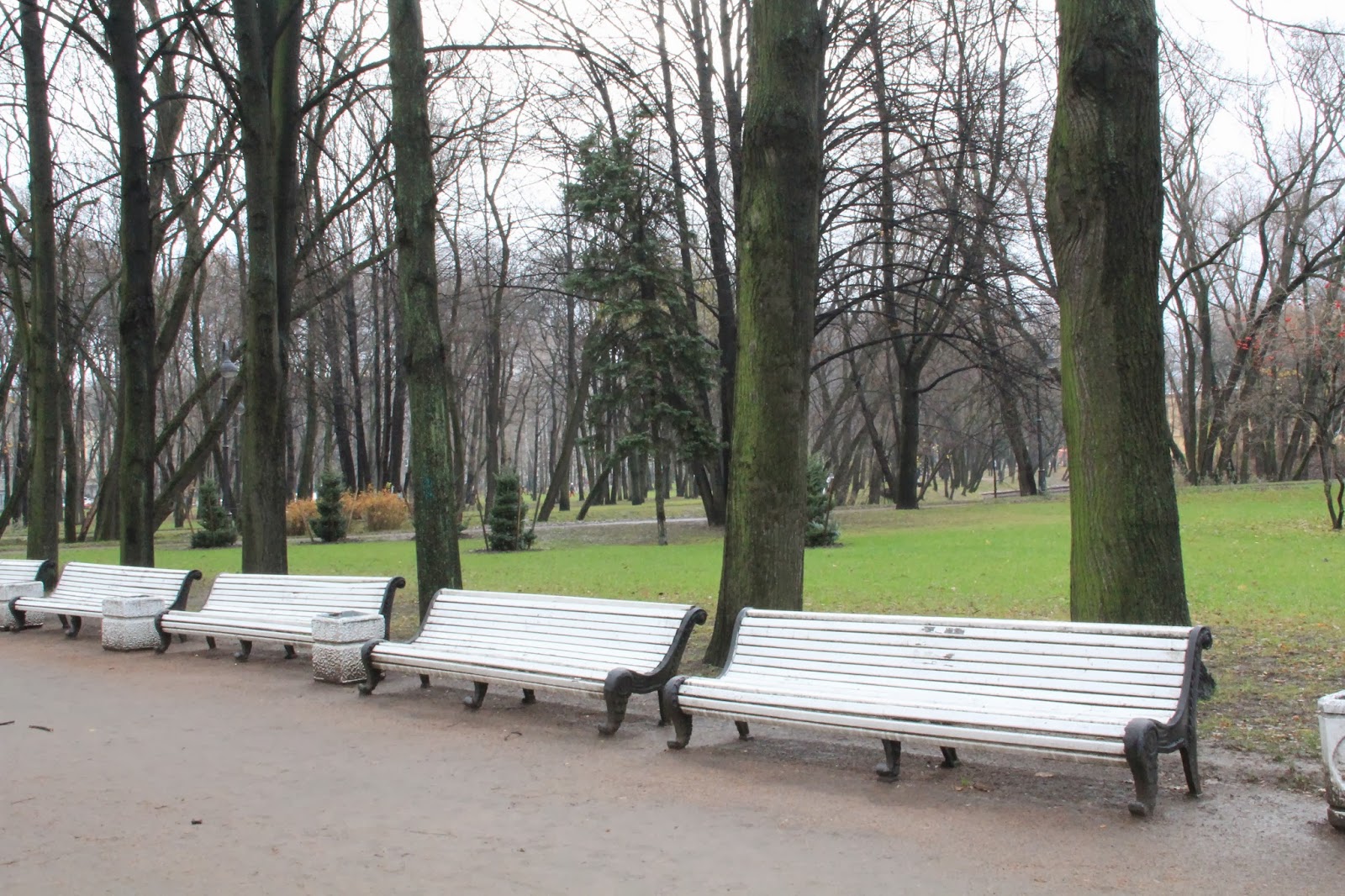 У графского парка