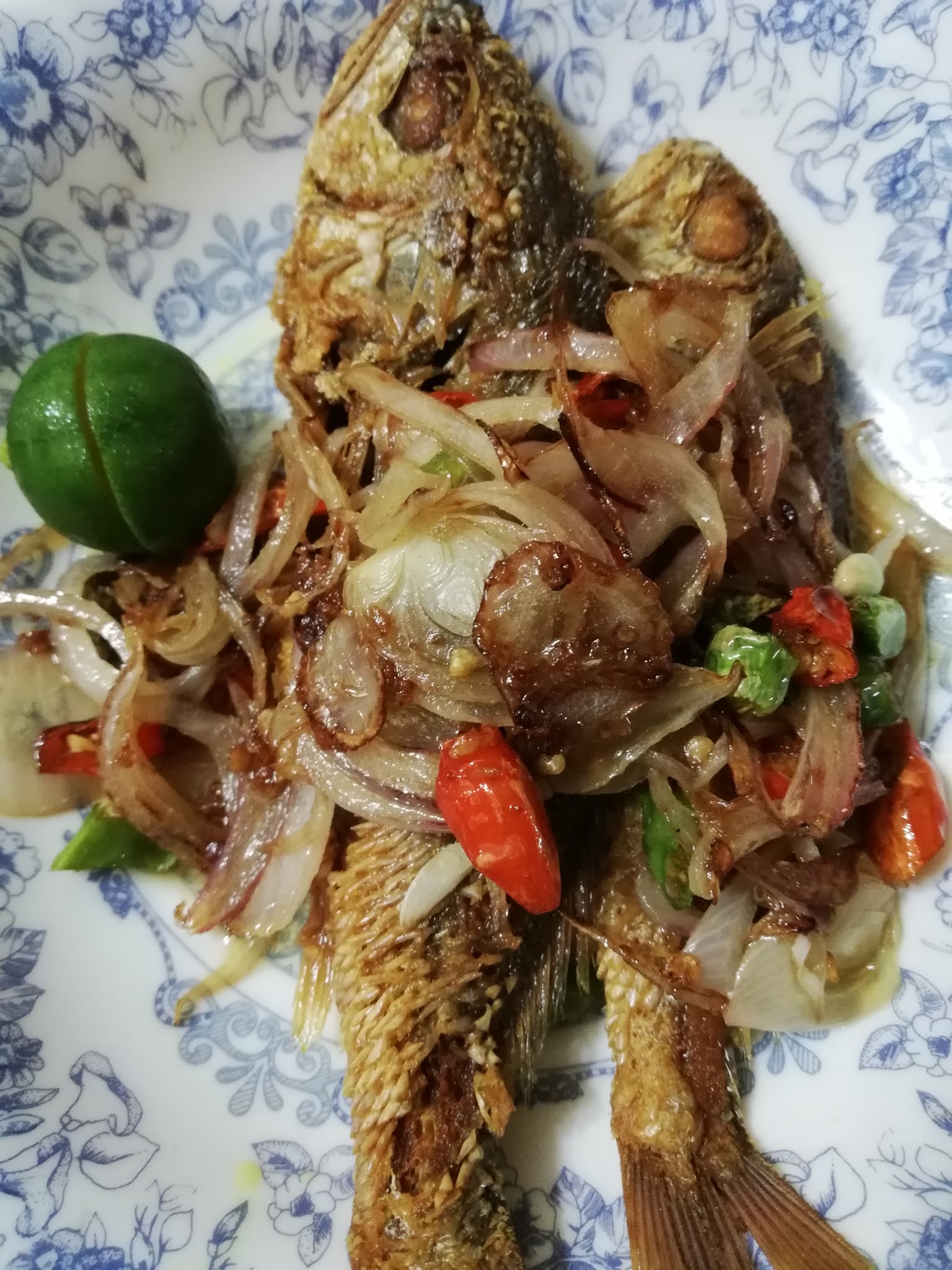 Ikan gelama masam