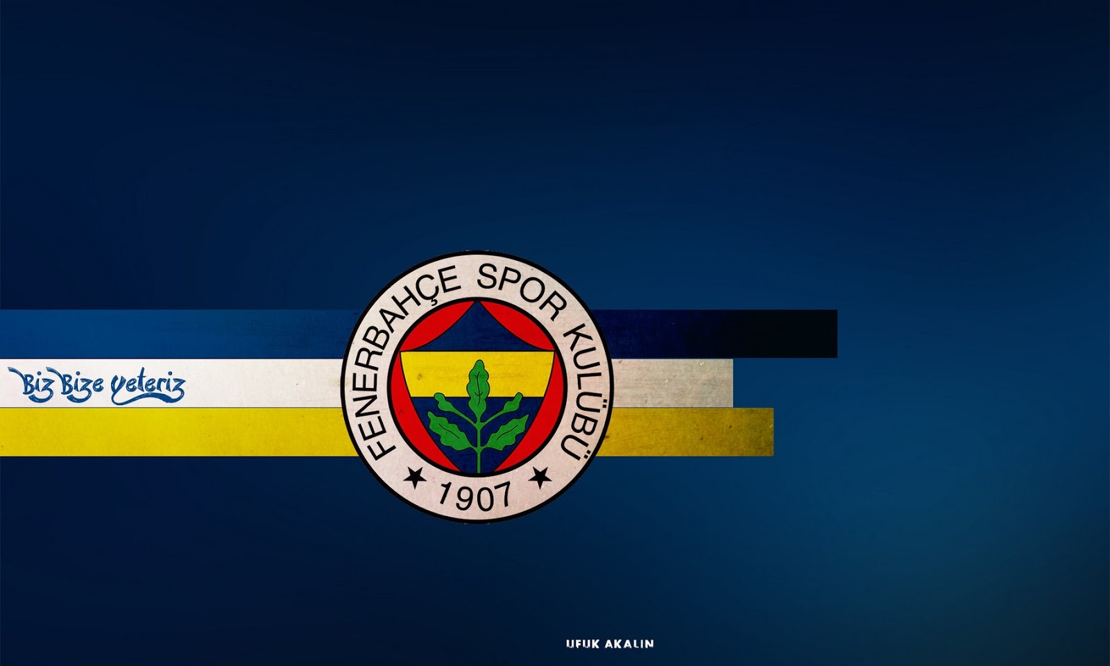 fenerbahce resimleri rooteto9