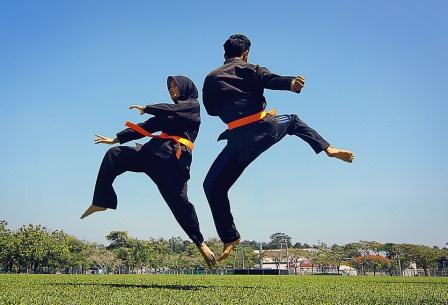 12 Tujuan Olahraga Pencak Silat Penjasorkes