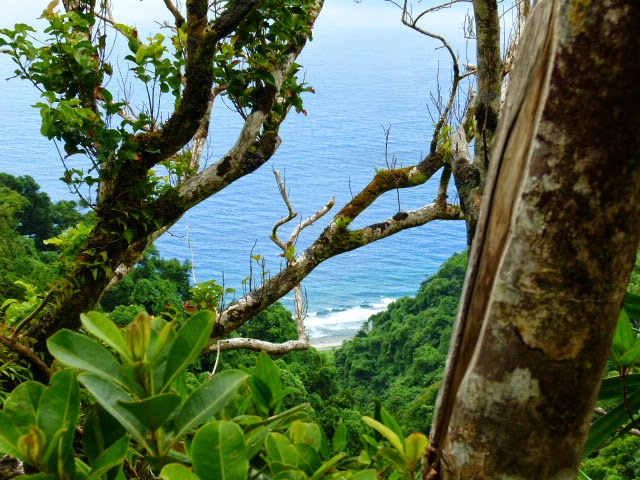Infirmière à Futuna Samedi 19 juillet, trekking au Mont Puke