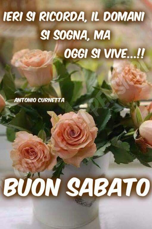 Che La Vita Continua FRASI WEEK END BUON SABATO BUON FINE jpg (511x767)