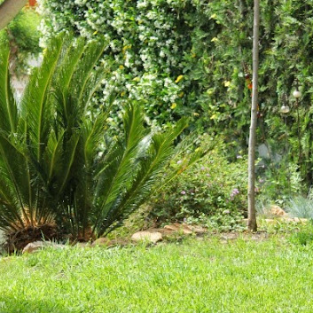 Temas - Guia de jardin