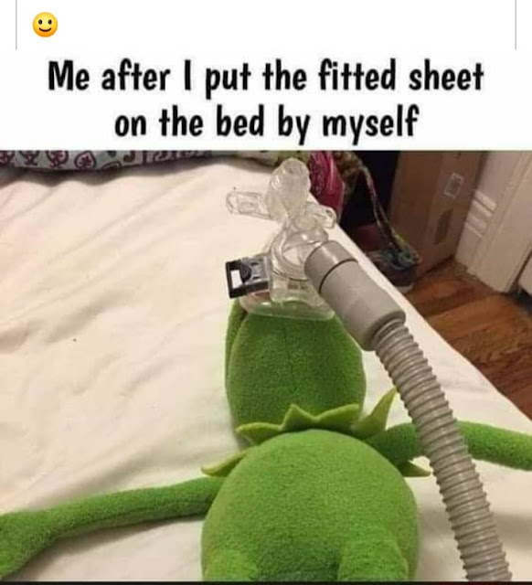 419.jpeg