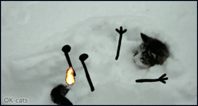 Art Cat GIF • Snow cat on fire is stuck in snow. “HALP! I can't move I am frozen!” Art Cat GIF • Snow cat on fire is stuck in snow. “HALP! I can't move I am frozen!”